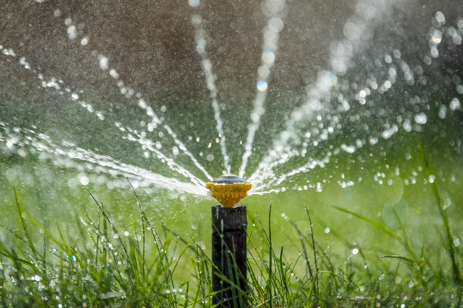 Sprinkler Systems