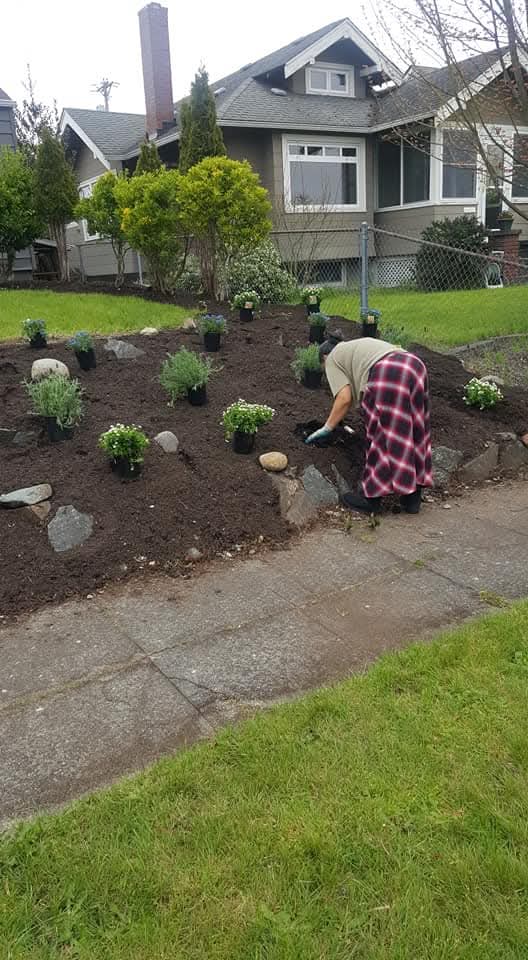 Residential garden installation in progress